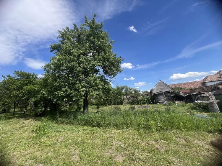 Teren 1150mp la tara, deschidere la 2 stazi - 8