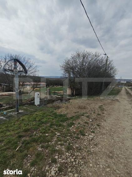 Teren intravilan 3000 mp, in Sandulesti - 2