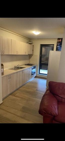 De închiriat ap 2 cam Dumbravita,zona Kaufland - 4