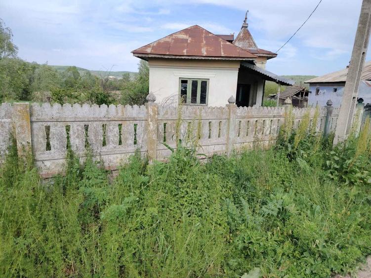 Vand casa Goiesti - 2