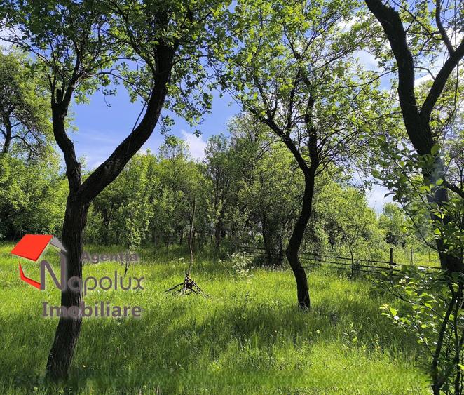 ? Teren cu poten?ial reziden?ial ?i turistic | 3.000 m2 | Exclusivitate Napolux Imobiliare - 1