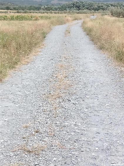 Vand teren langa Dunare 2200de metri patra?i sau ?i cu parcele - 1
