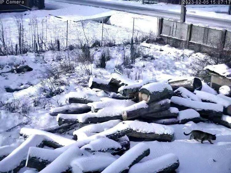 Vand casa renovata,anexe ,3000m2 in Recea Cristur - 2