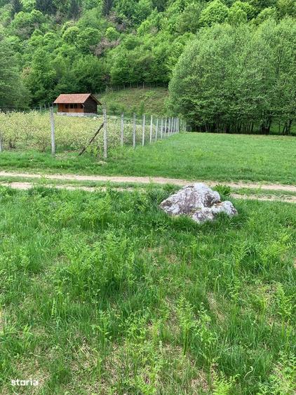 Teren rural de vanzare - electricitate ?i apa - 6