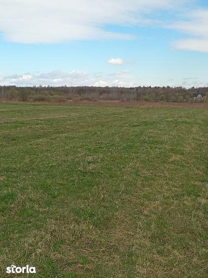 Teren de vinzare vicovu de sus 350 euro - 8