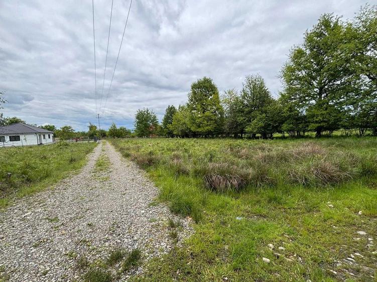 Teren 2300 mp Ocna Sugatag ideal cabane / investitie drum privat + acces - 2