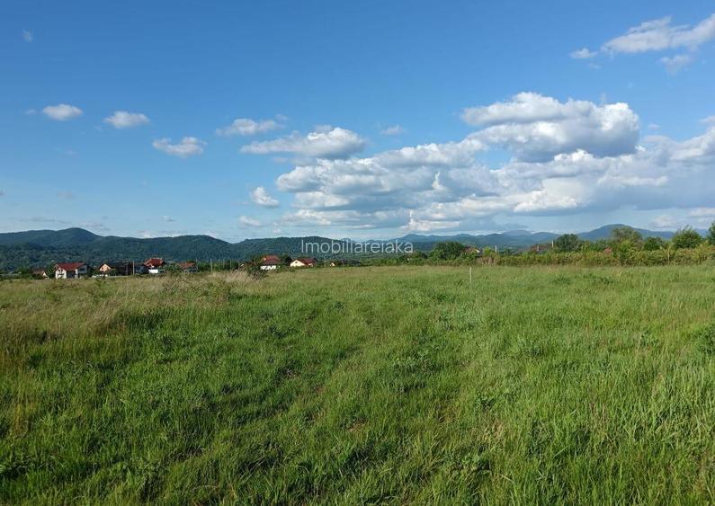 Merisor, 54 ari teren