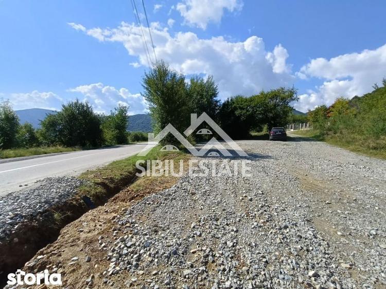 Teren construibil ,la sosea, intre Vale si Sibiel, zona cu potential - 10
