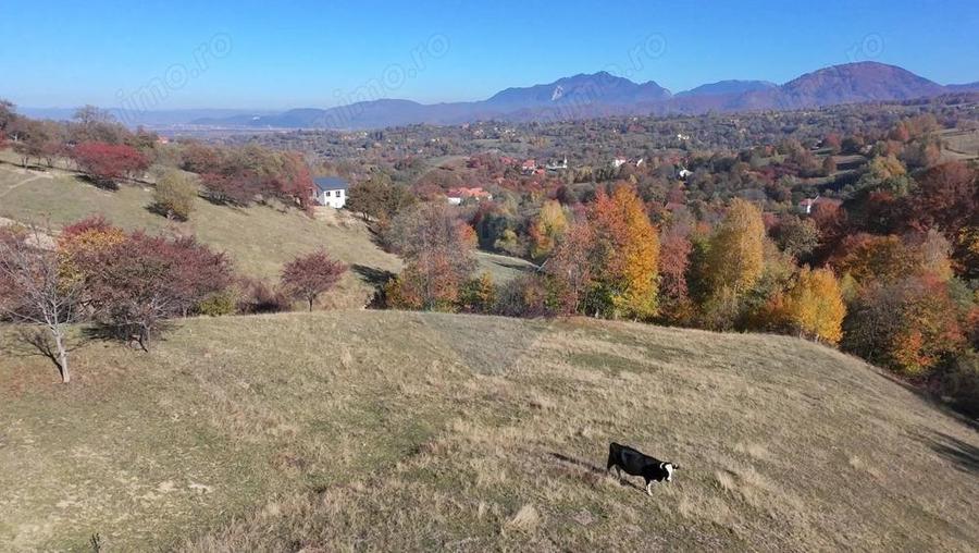 Teren 3,500mp Bran / Strada Bradul Inalt - 4