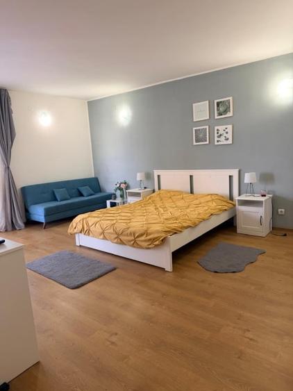 Garsoniera decomandata, 42 mp, zona Brestiei-Promenada, - 5