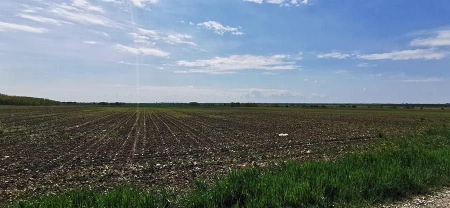 Comuna Vidra  -16.000mp, dublă deschidere 51 m,  curent, gaz la stradă - 2