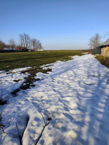 Teren Intravilan Bitina-Ungureni - 1