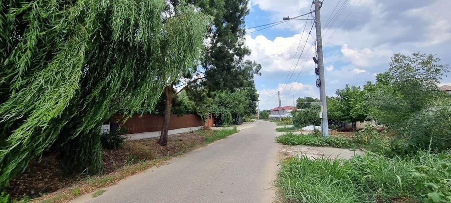 Casa cu vie, livadă și timp pentru tine - 36