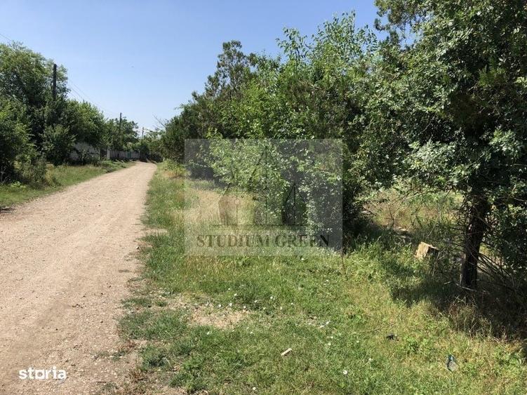 Spațiu comercial, în Cetatea