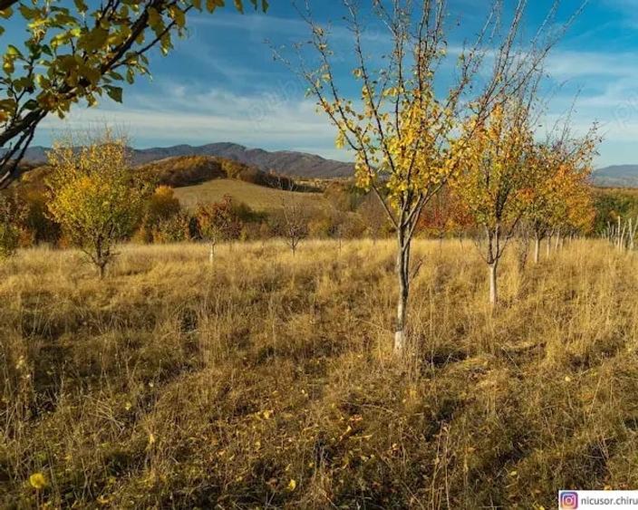 Teren în Teișani