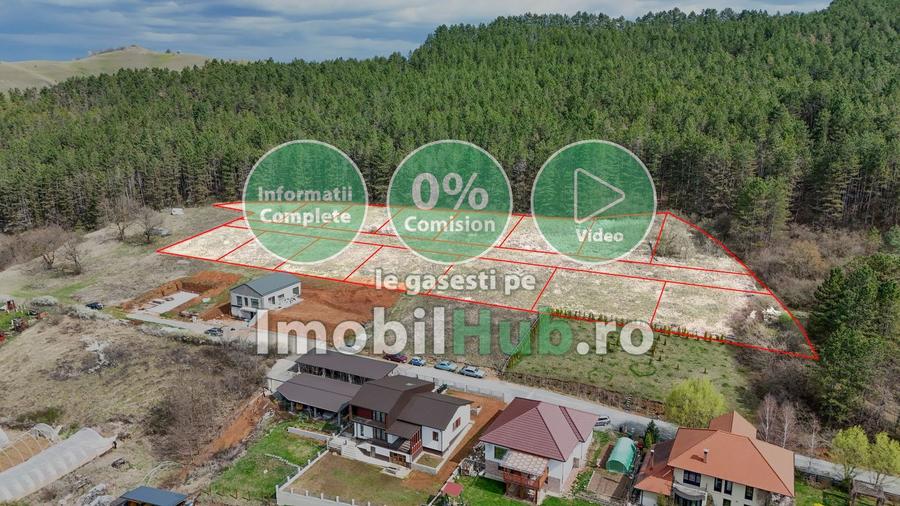 Teren Construcții intravilan de 10130 mp, în Vlaha