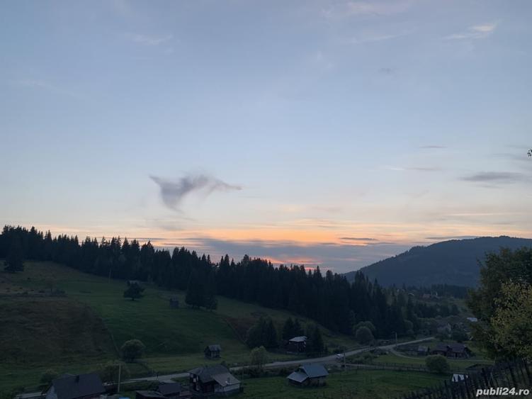 Teren de 7837 mp, în Dorna-Arini