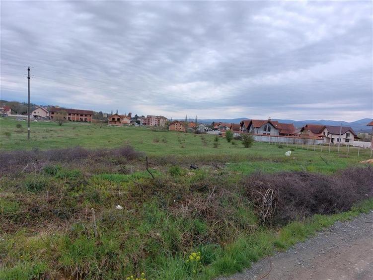 Teren Construcții intravilan de 4935 mp, în Periferie