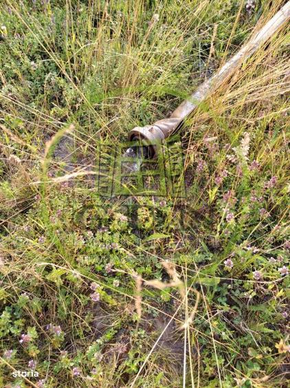 Exclusivitate! Teren intravilan, ttrifazic 44kw, urbanism, toate avize - 8