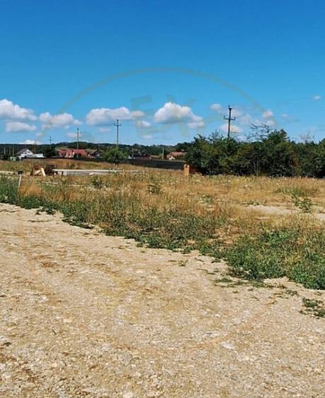 Teren 500 mp intravilan Smeura Stoenari - 4 loturi - 6