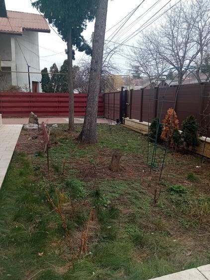 Casa cu 5 dormitoare, 170 mp utili, 500 mp teren, Podu de Fier - 2