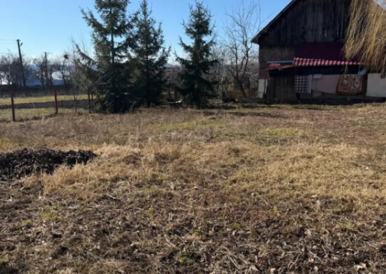 Casa batraneasca , teren 1100mp , centru Horodnic de Jos - 12