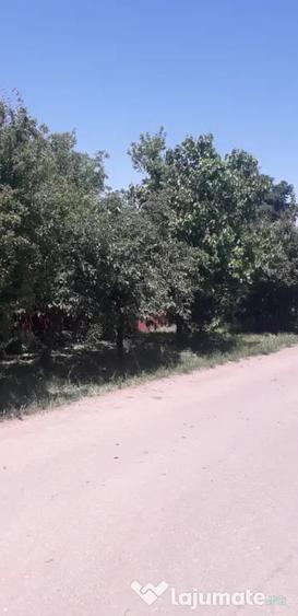 Vand casa locuibila Izvoarele - 1