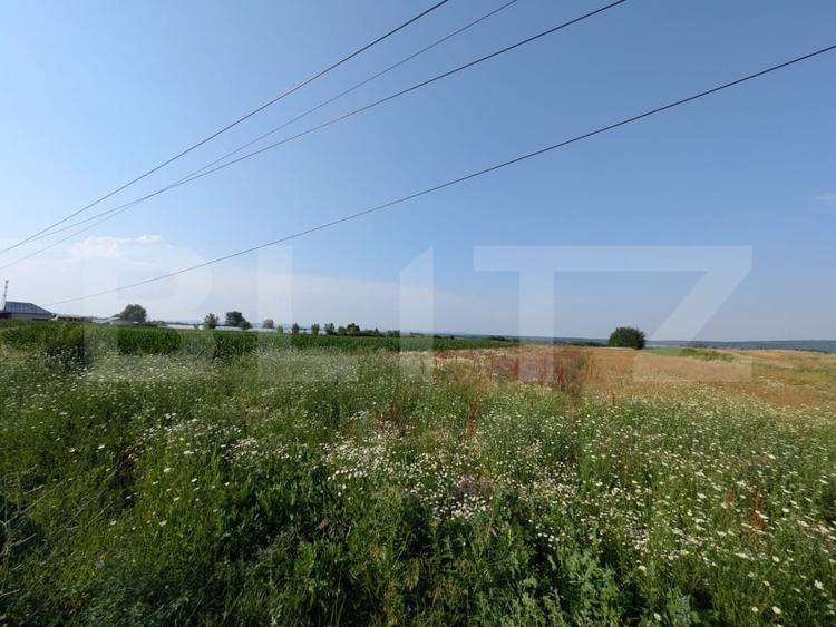 Teren Construcții intravilan de 3000 mp, în Comișani
