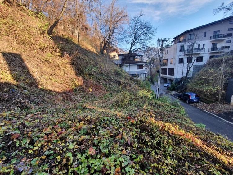 ZONA DEOSEBITA CU MULTA VERDEATA - 8