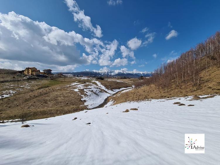 Teren De Vanzare In Sirnea - 33