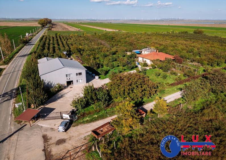 ID 7785 LIVADA SABANGIA DE VANZARE - 3