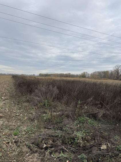 Teren de vanzare - 4