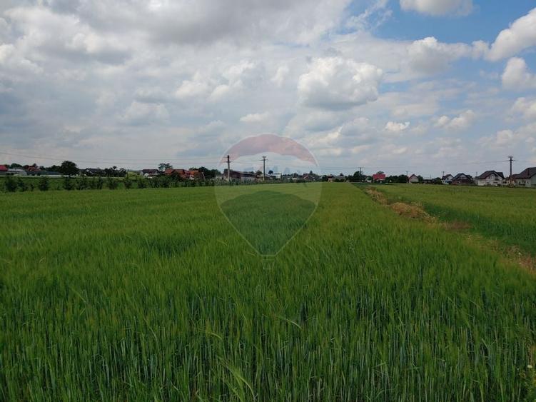 Teren intravilan 6,600mp Dumbraveni / Strada Principala spre Veresti - 6