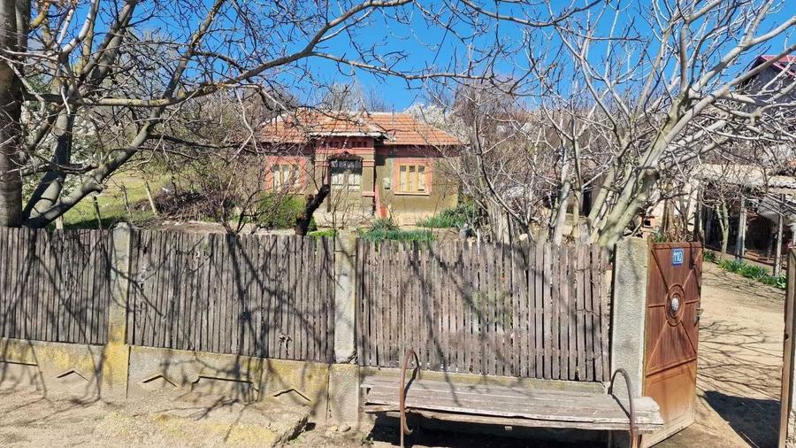 Gospodarie autentica si teren 2.600 mp Ianca, Olt Aproape de Dunare - 3