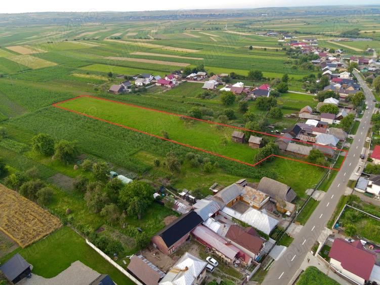 Gospodarie de vanzare in Valea Moldovei, judetul Suceava - 6