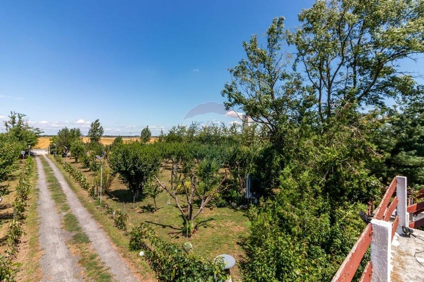 Casa+Laborator+ Teren 12.700 mp + casa de vacanta - Bolintin Vale - 32