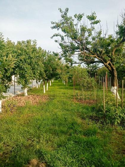 Vand casa in comuna Sanmartin - 4