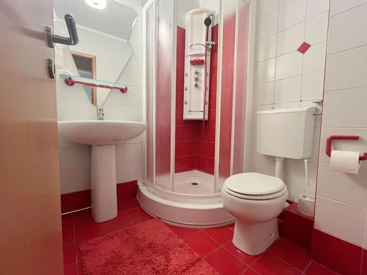 Apartament spațios de &icirc;nchiriat si garaj - Calea Aradului - 17