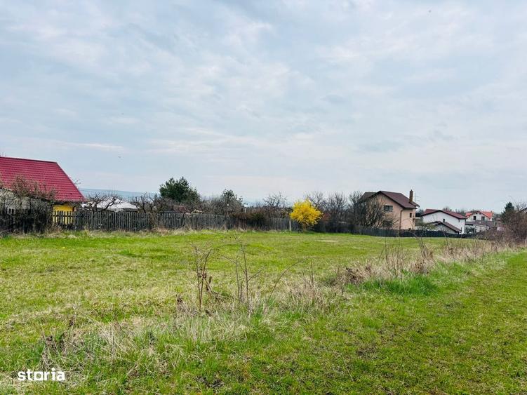 Teren intravilan Nicolae Corches/zona Buna Ziua - 2