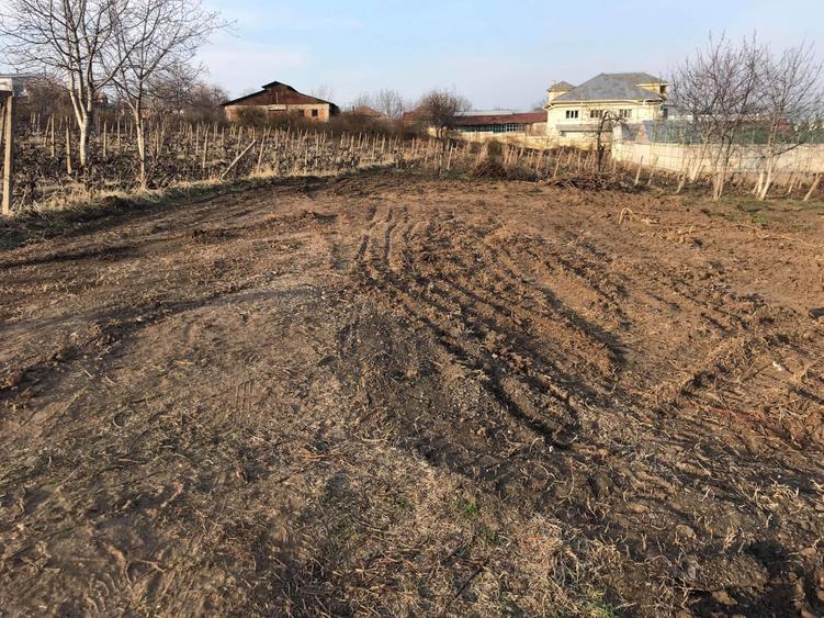 Teren de vanzare - 3
