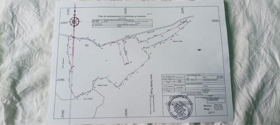 Se vinde teren-10 hectare in comuna Blajeni judetul Hunedoara - 3