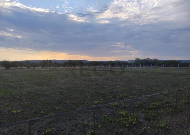 RECO Teren intravilan,Osorhei - 1