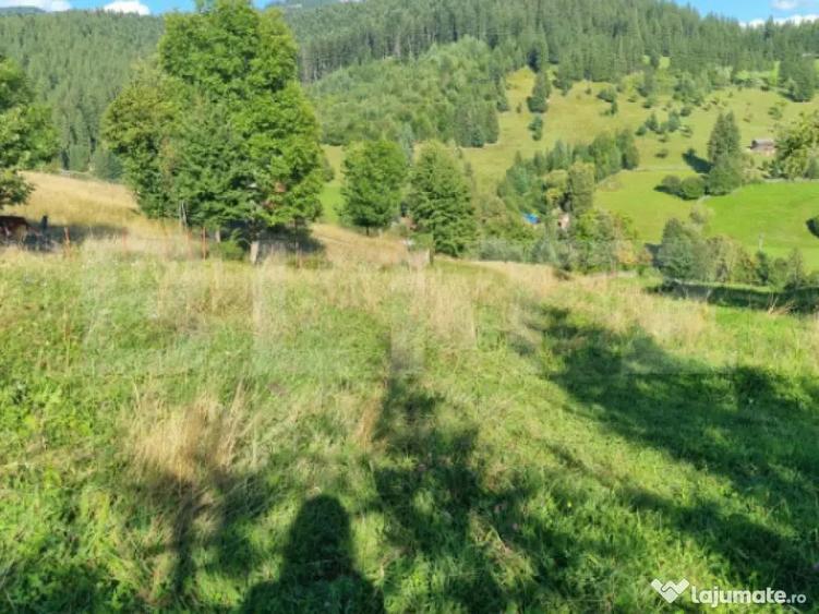 Teren intr-o zona superba din Campulung Moldovenesc - 8