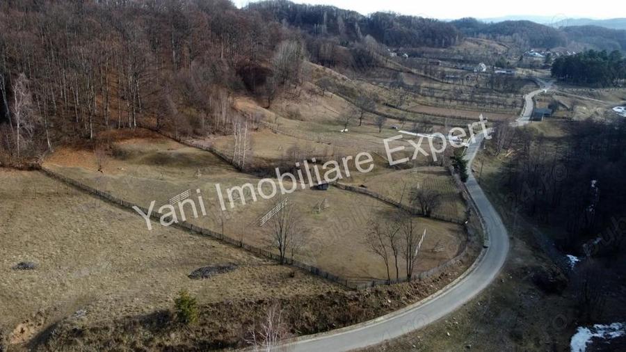 Teren de vanzare in comuna Cicane?ti, Jude? Arge?. - 17