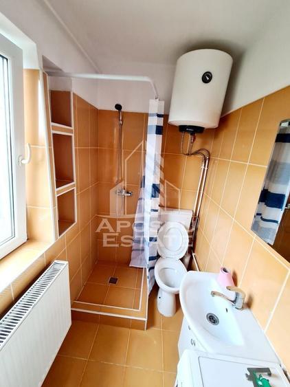 Garsoniera Buziasului - 9