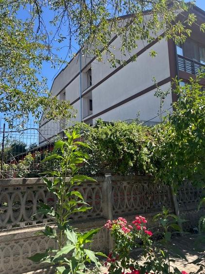 Teren str Renasterii Chitila - 4