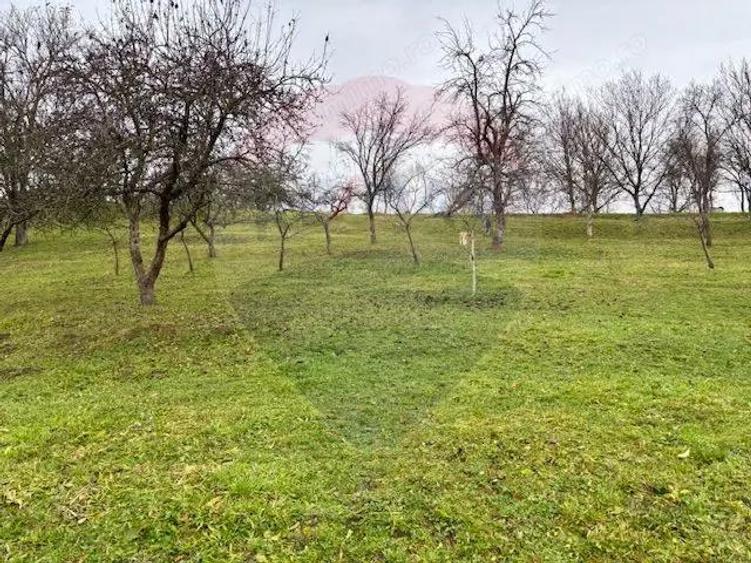 Casa traditionala+anexe gospodaresti in Giulesti Maramures - 2