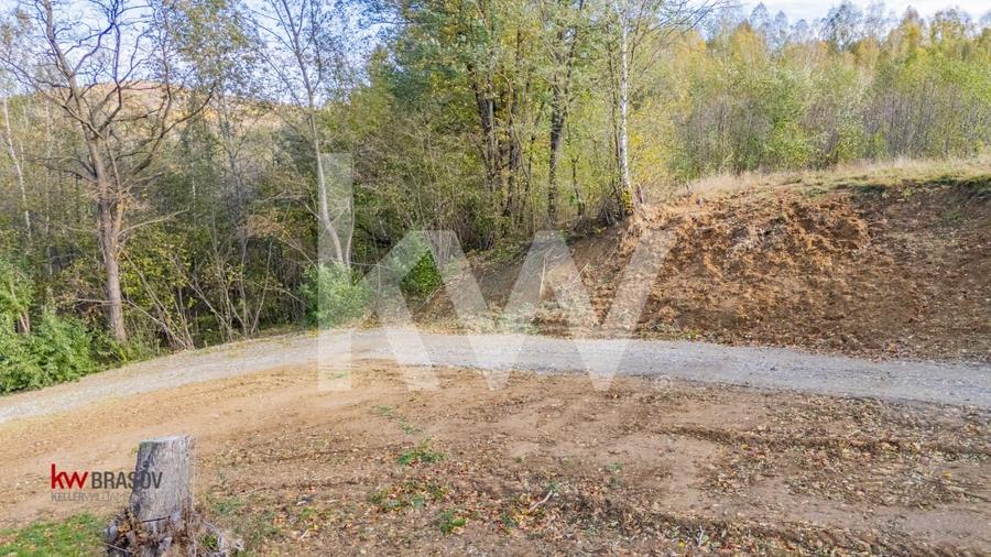 Vanzare teren intravilan 37723 mp Zarnesti Tohanita - 15