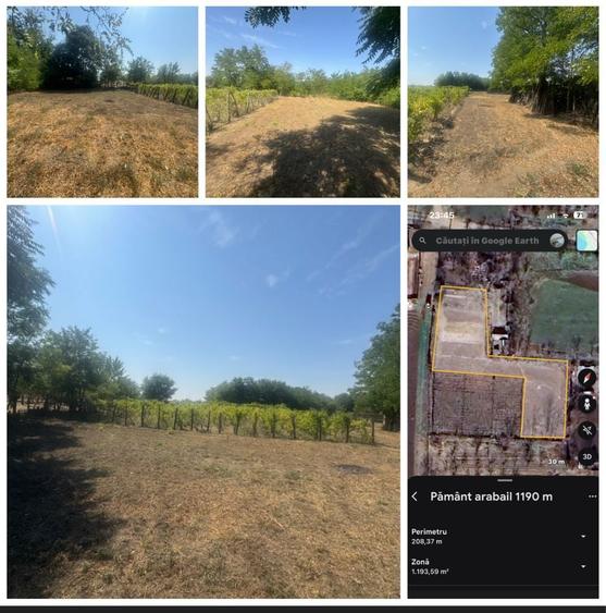 Casa in sat Floroaica 2800 m +teren arabil intravilan 2 096 m - 3