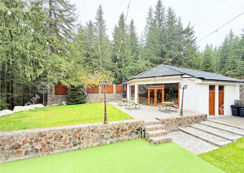 Propietate unicat de in Sibiu zona turistica Paltinis - 5